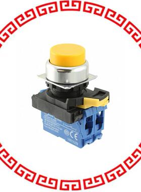 A22NN-RPM-NYA-G101-NN SWITCH PUSH DPST-NO 10A 12