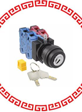 SG-D1-2C22 SWITCH KEYLCK 2POS 4PST 10A 110V