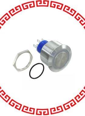 AV2521E612Q04 SWITCH PUSHBUTTON DPST 3A 250V