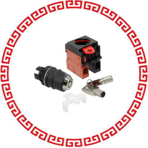 A22TK-2LR-11-K04 SWITCH KEYLCK 2POS DPST 10A 110
