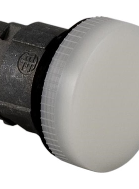 ZB4BV013C50《PILOT LIGHT HEAD LED WHITE》
