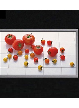 46X7501920.NN00《NiCu Polyester fabric Ecogreen》