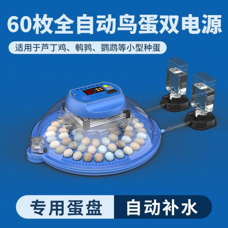 孵化器小型家用全自动智能小鸡芦丁鸡鹦鹉鸟蛋小飞碟孵蛋器孵化箱