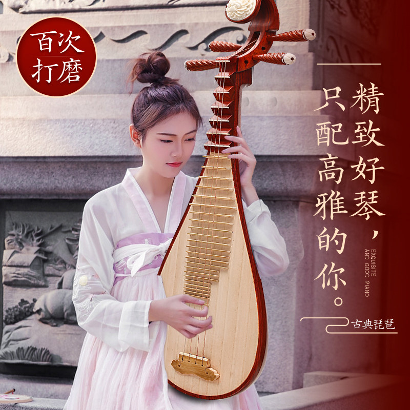 速发琵琶初学者红木红花人木考级演奏入梨初学成门花梨木