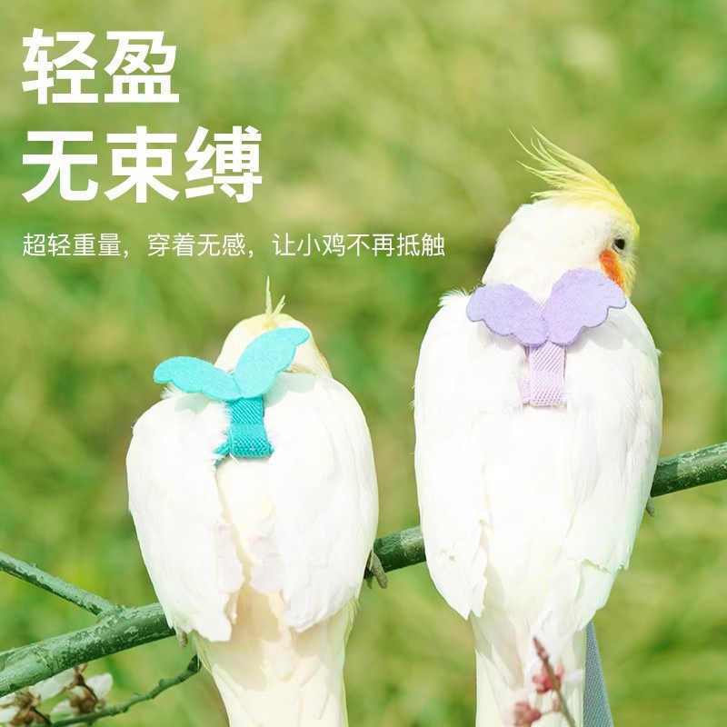 速发鸟用鹦鹉放飞绳玄凤虎皮牡用飞行外出背玩遛鸟神器丹品带具