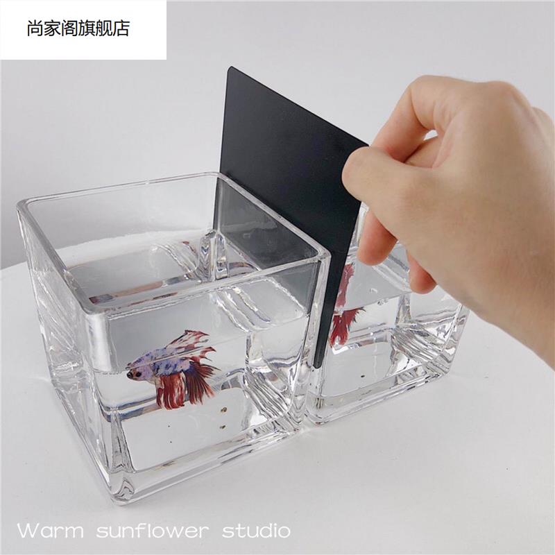 速发12cm15cm斗鱼缸黑色pvc塑料隔离板不透光遮挡硬片鱼缸盖防跳
