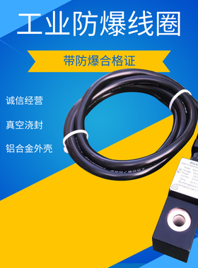 速发em55100-气动控制阀em55防01 ExmbII电磁阀1爆线圈EM-1.1/CX