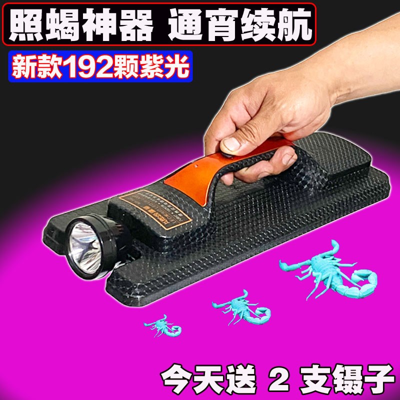 速发照蝎子可强光超亮灯光蝎子紫手电头戴式蝎子灯灯充电长续航