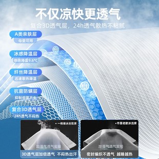 速发202新款 夏天凉席可水洗家用婴儿席子夏季 学生宿舍藤席床笠款