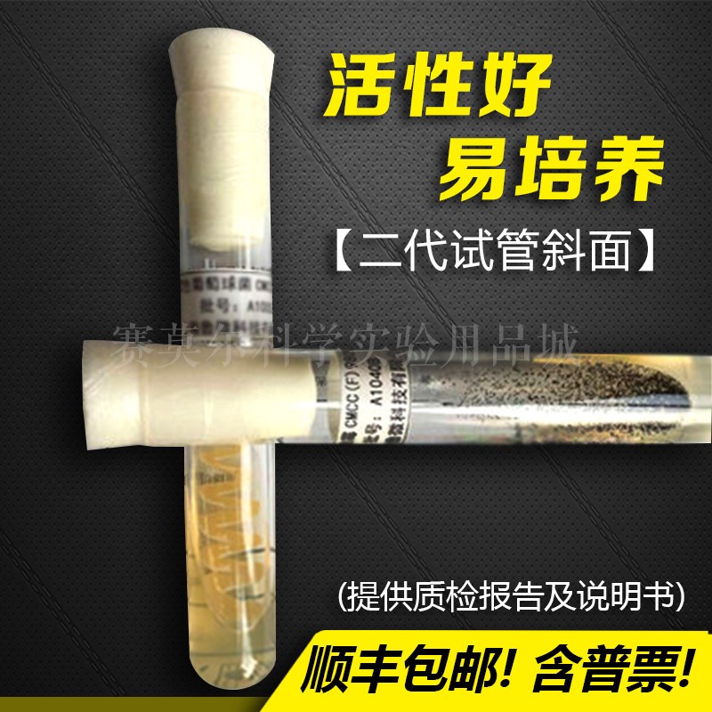 速发白色葡萄球菌802二代斜面标准质控菌株 培养基质量检验 科研