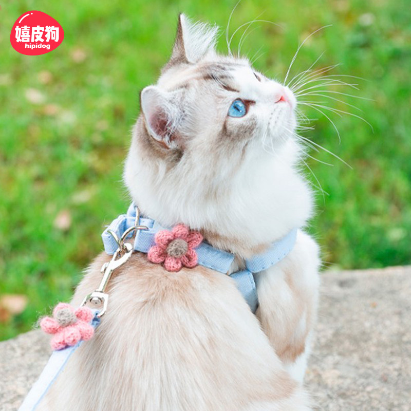 速发小猫背防挣脱外出猫调节溜可咪带遛猫遛狗绳子