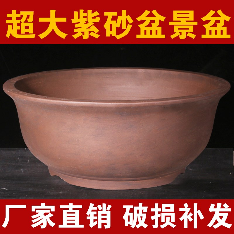 速发紫砂花盆特大花盆景号盆三角梅花盆陶瓷种树花盆