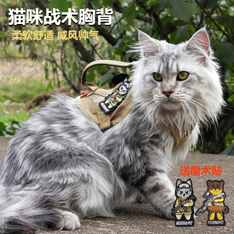 猫咪牵引绳战术胸背背心式防挣脱可调节宠物胸背带溜猫绳小狗胸背,宠物/宠物食品及用品,猫牵引绳,淘宝优惠券,粉丝福利购,淘宝优惠卷