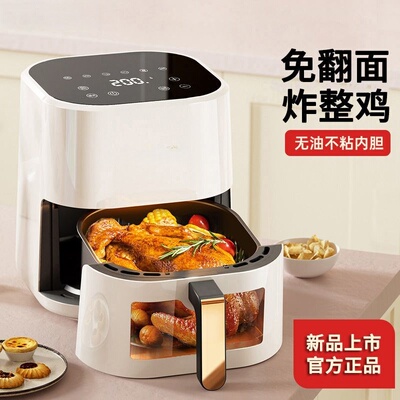 德国可视空气炸锅家用炸整鸡