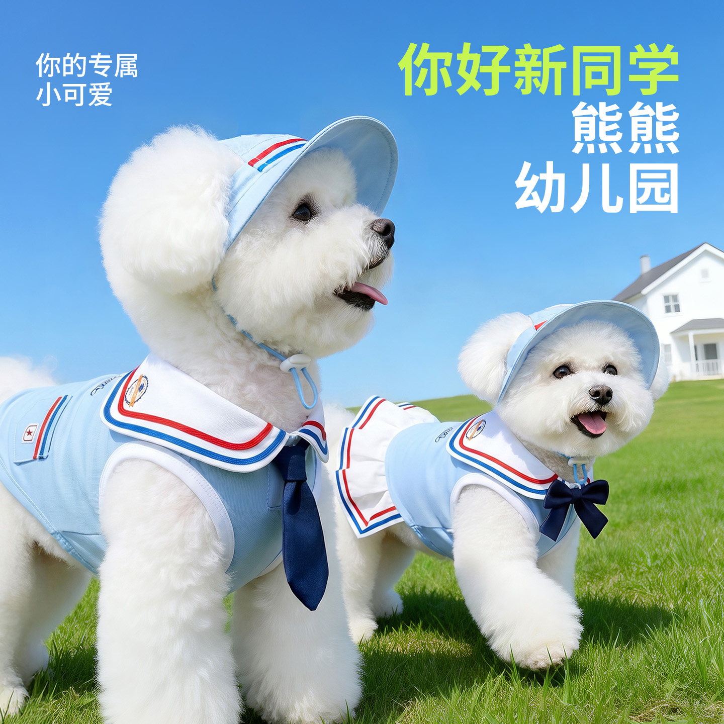 比熊防晒衣凉凉衣小狗宠物衣服