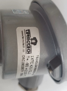 非标价TERMOTECH意大利原厂温度传感器议价