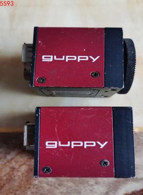 ALLIED GUPPY GF 503B ASG 工业相机，