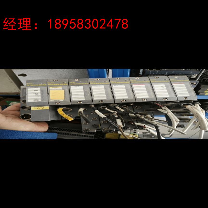 图尔克bl67模块