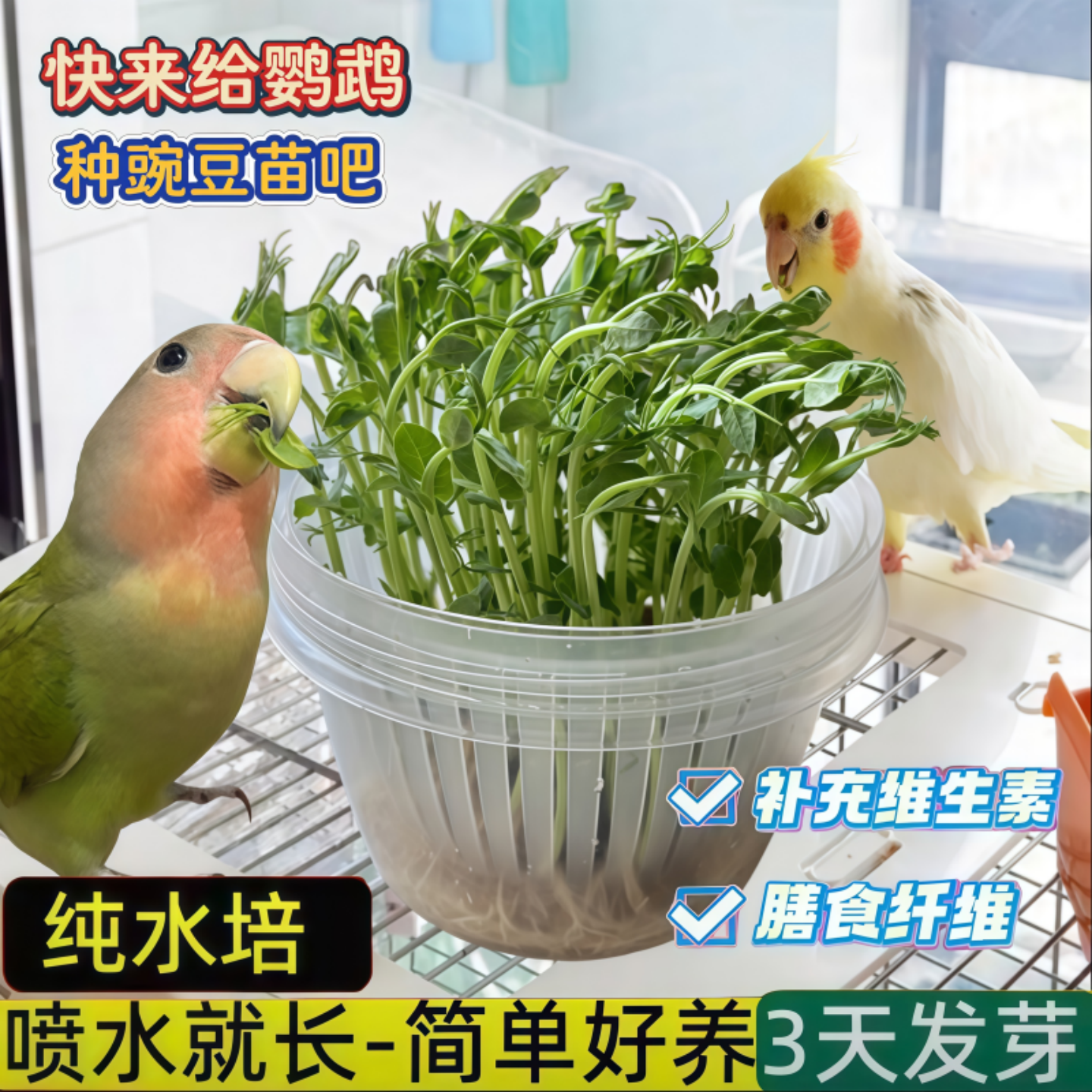 鹦鹉豌豆苗饲料专用蔬菜维他命鸟粮趣味手养虎皮零食牡丹玄凤玩具,宠物/宠物食品及用品,鸟玩具,淘宝优惠券,粉丝福利购,淘宝优惠卷