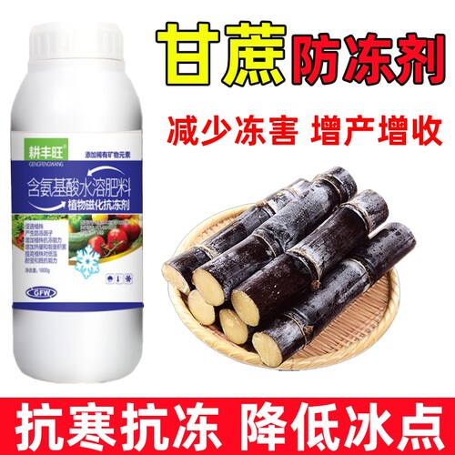 耕丰旺甘蔗防冻剂甘蔗防寒抗冻剂