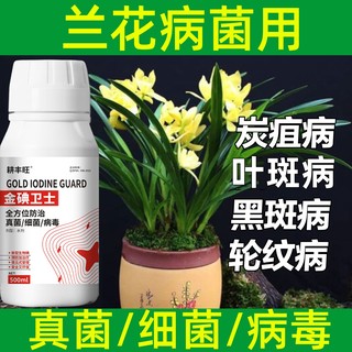 兰花软腐病黑斑病植物杀菌剂兰花杀菌剂真菌细菌病毒病通用杀菌剂