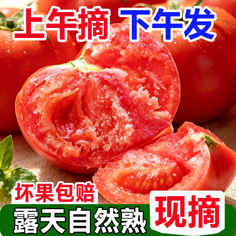 正宗攀枝花自然熟沙瓤西红柿9斤非普罗旺斯现摘新鲜水果蔬菜番茄
