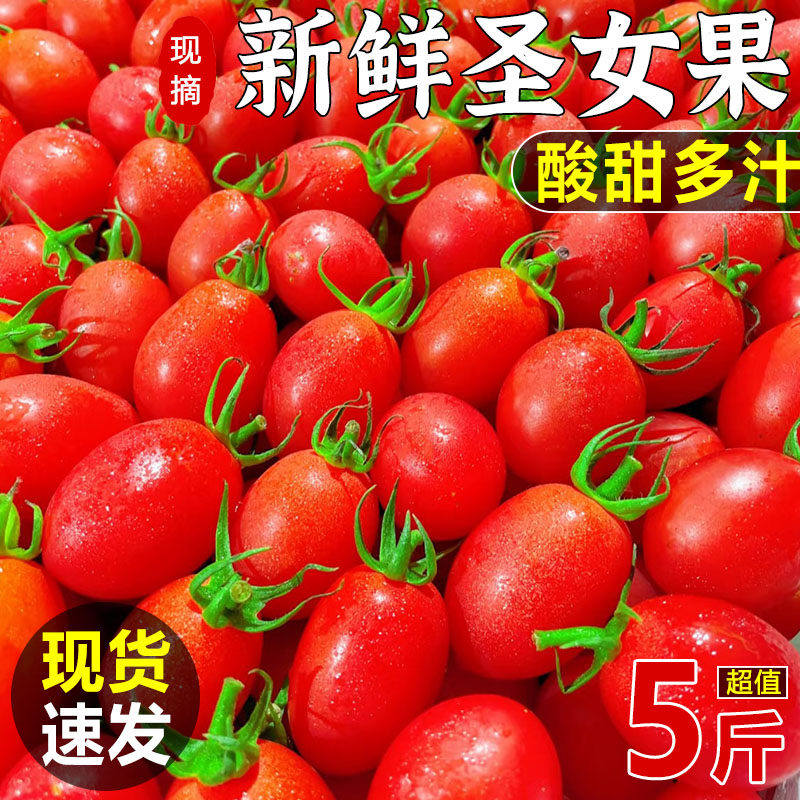 现摘现发新鲜圣女果3-5斤小番茄农家小西红柿蔬菜水果非千禧樱桃,水产肉类/新鲜蔬果/熟食,番茄,淘宝优惠券,粉丝福利购,淘宝优惠卷
