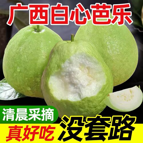 广西白心芭乐新鲜水果当季软心番石榴鸡屎果脆甜芭乐现摘整箱包邮