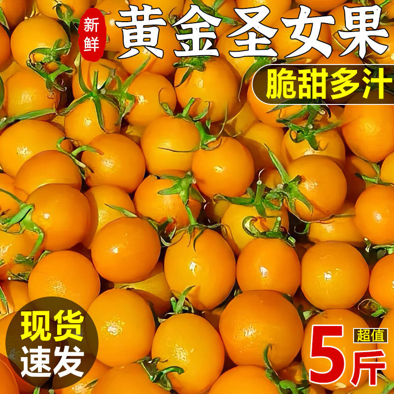 黄色金圣女果夏日阳光樱桃小番茄新鲜水果酸甜小西红柿千禧包邮,水产肉类/新鲜蔬果/熟食,番茄,淘宝优惠券,粉丝福利购,淘宝优惠卷