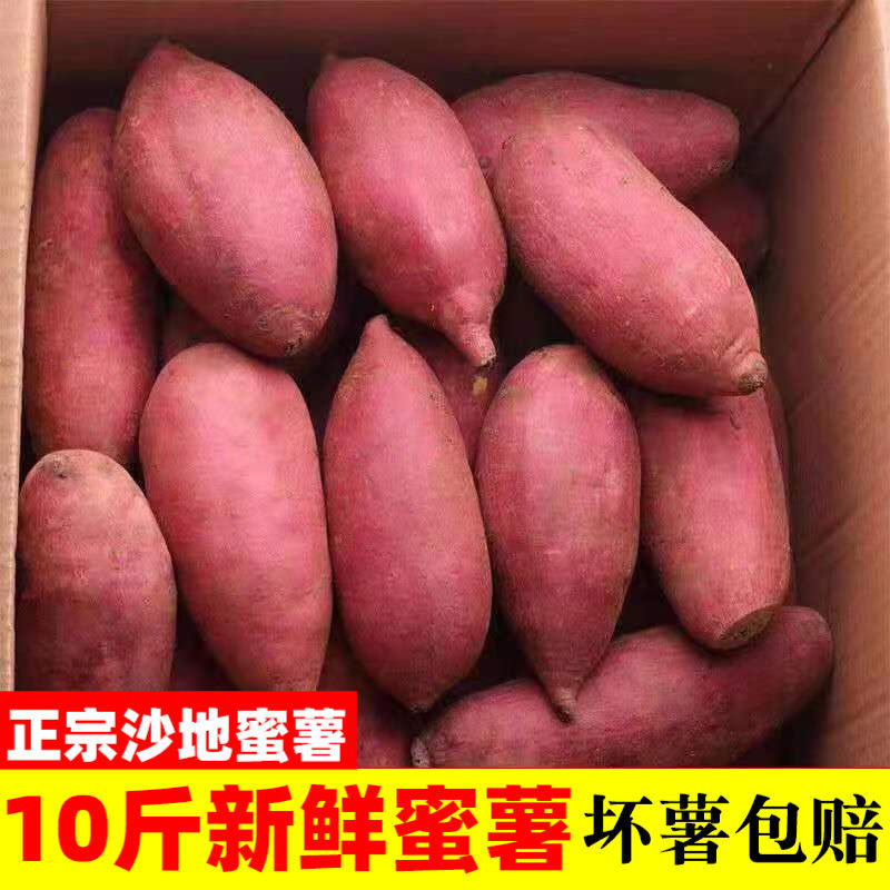新鲜蜜薯10斤红薯现挖板栗烤地瓜糖心番薯沙地农家自种山芋小香薯