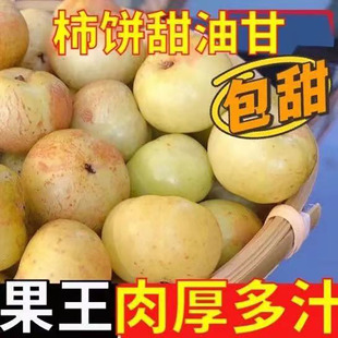 精选果潮汕甜种油柑高山柿饼甜油甘果余甘子滇橄榄新鲜现摘老果