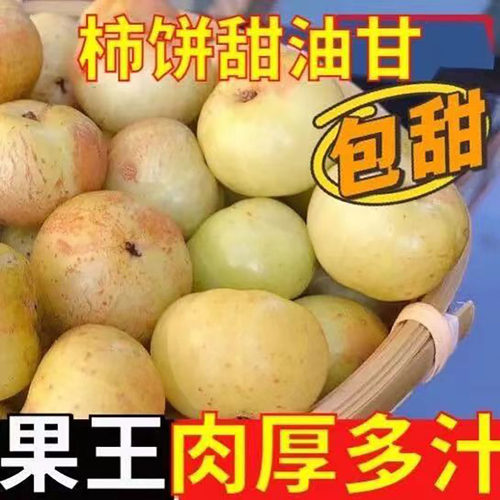 精选果潮汕甜种油柑高山柿饼甜油甘果余甘子滇橄榄新鲜现摘老果