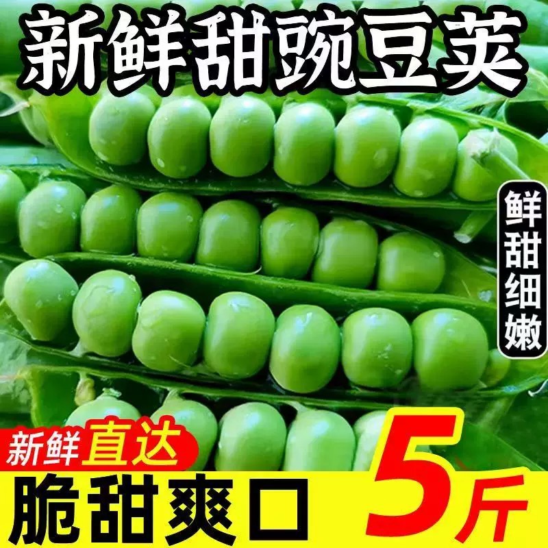 青豆豌豆新鲜带壳弯豆云南农家露天蔬菜现摘水果甜嫩碗豆角荚甜豆