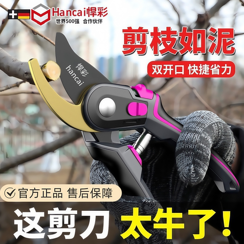 修剪树枝高枝剪刀剪果树园艺剪刀摘果神器花剪绿化专用果枝剪子