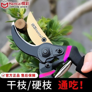 修剪树枝高枝剪刀剪果树园艺剪刀摘果神器花剪绿化专用果枝剪子