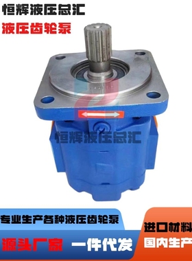 新款泊姆克油泵PERMCO齿轮泵P257A467PRZA12-6/P257-G63 367PG液