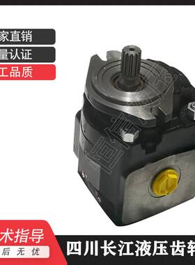 新款液压泵CMG2040 CMG2050 CMG2063 2080 CMG2100 CMG310铸铁齿