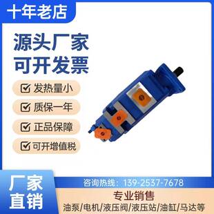 新款天津泊姆克1115133401正远400钻机齿轮泵 正远SL500三联泵液