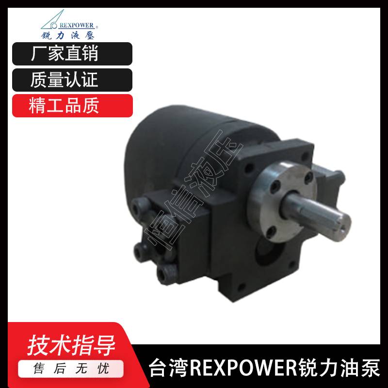 新款台湾锐力REXPOWER齿轮泵RBB-2016Y 2018Y 210Y220Y油冷机液压