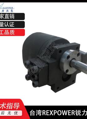 新款台湾锐力REXPOWER齿轮泵RBB-2016Y 2018Y 210Y220Y油冷机液压