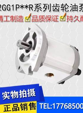 新款2GG1P22R 24R 26R 28R 30R 33R  2GG1P11R JSPCYY液压齿轮油