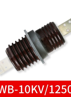 新款12KV高压CWW-CWB10KV-630A1250A1500A2000ACWB铜排陶瓷穿包邮