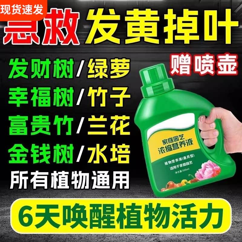 植物黄金葛营养液通用型家用养花卉水培绿植多肉盆栽发财树肥料室