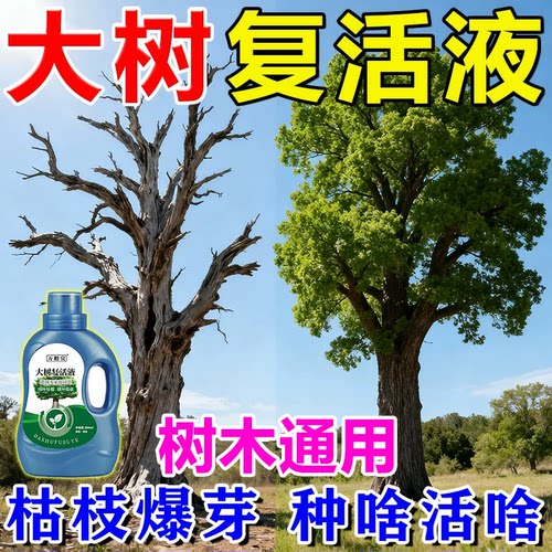 大树复活液强力成活再生