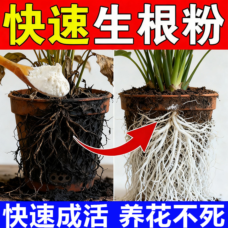兰花专用生根粉强力壮苗