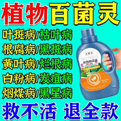 花病康喷剂多菌菌灵杀菌剂花卉植物黄叶菌立清炭疽病兰花黑斑病