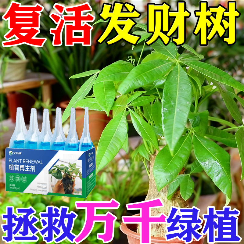植物再生剂发财树专用营养液