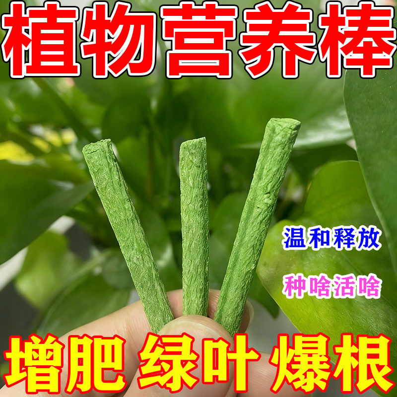 植物营养棒缓释肥料盆栽绿植花卉长效肥家用懒人养花通用型营养棒,鲜花速递/花卉仿真/绿植园艺,家庭园艺肥料,淘宝优惠券,粉丝福利购,淘宝优惠卷