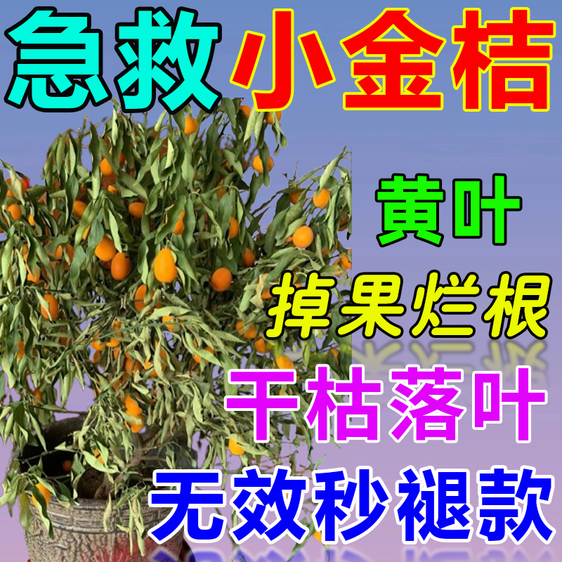 金桔树营养液专用肥料