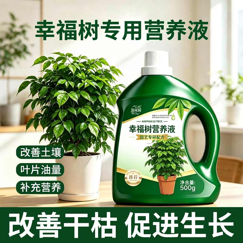 幸福树专用营养液肥料防黄叶落叶黑斑防掉叶干枯花肥盆栽绿植通用
